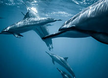 17173热门游戏榜:《最终幻想14》联动怪猎活动上线 《魔兽世界》全新怀旧版本